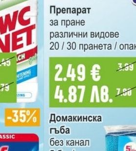 Домакинска гъба без канал