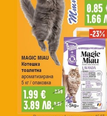 BIC Maxi Запалка