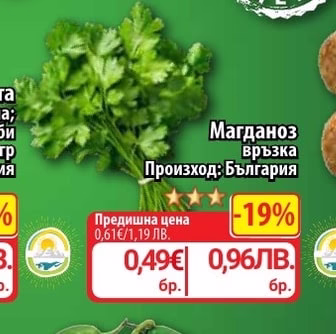 Магданоз връзка