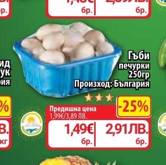 Гъби печурки
