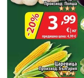 Гъби печурки