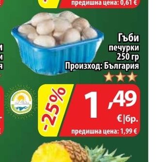 Гъби печурки