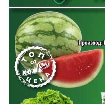 Диня