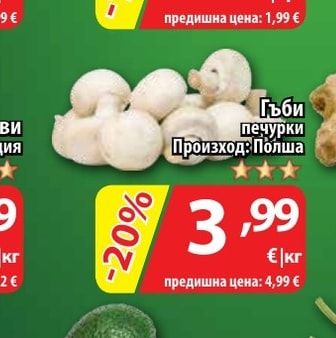 Гъби печурки