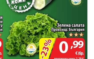 Корнишони