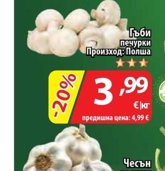 Гъби печурки