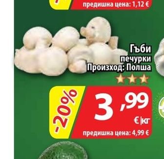 Гъби печурки