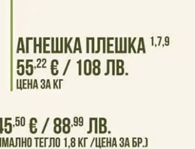 АГНЕШКА ПЛЕШКА