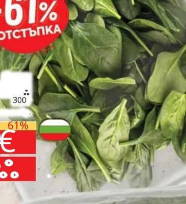Спанак