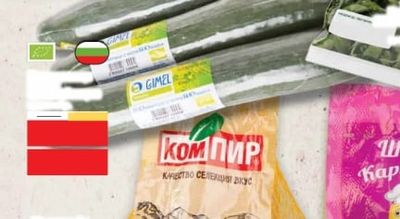 Зелен лук
