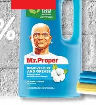 Mr. Proper Mr. Proper
