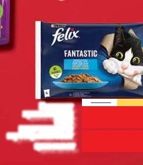 felix felix FANTASTIC