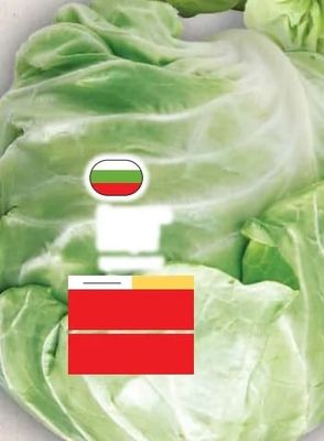 Кайсии