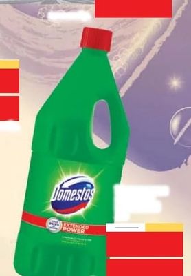Domestos EXTENDED POWER