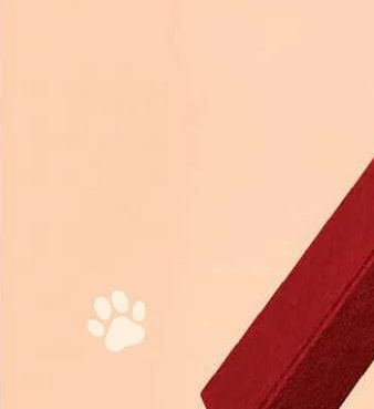 whiskas whiskas