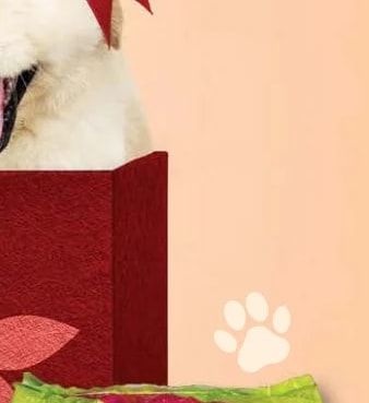EURO DOG MARHAHÚSOS Teljes értékű állateledel FELNŐTT kutyák számára