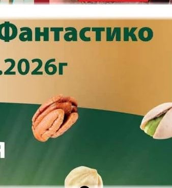 Ядки