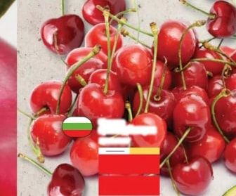 Череши