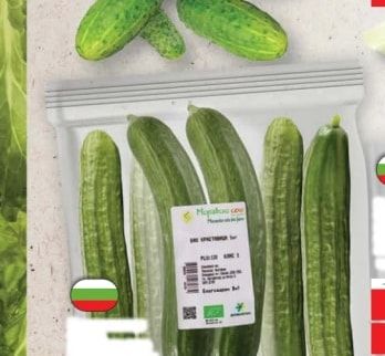 Марица Сед Краставици
