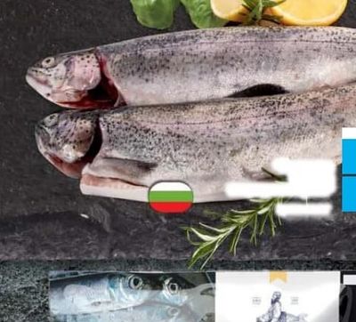 Пъстърва