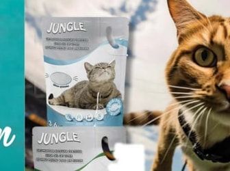 JUNGLE