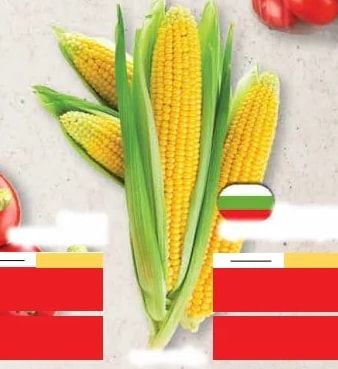 Царевица