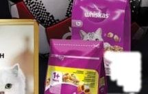 Whiskas
