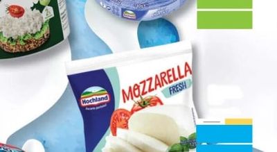 Hochland Mixtett Classico