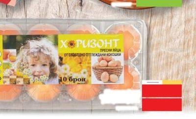 ХОРИЗОНТ ПРЕСНИ ЯЙЦА ОТ СВОБОДНО ОТГЛЕЖДАНИ КОКОШКИ