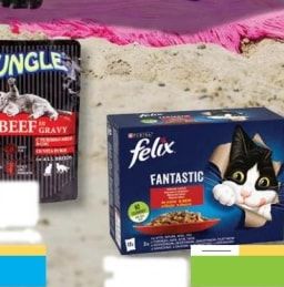 felix FANTASTIC