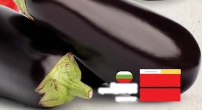Патладжан