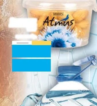 Saminvest Atmus
