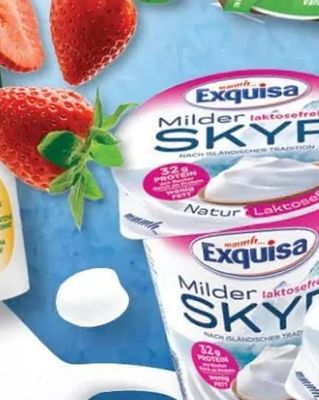 Exquisa Milder laktosefreier SKYR