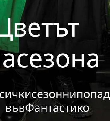 Авокадо