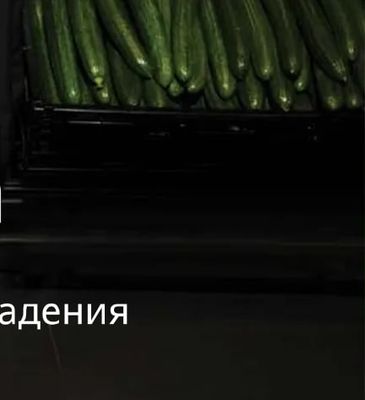 Краставици
