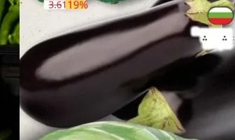 Патладжан