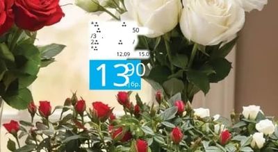 Рози
