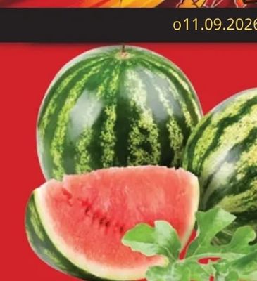 Диня