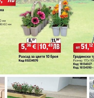 Разсад за цветя 10 броя