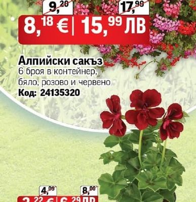 Алпийски сакъз
