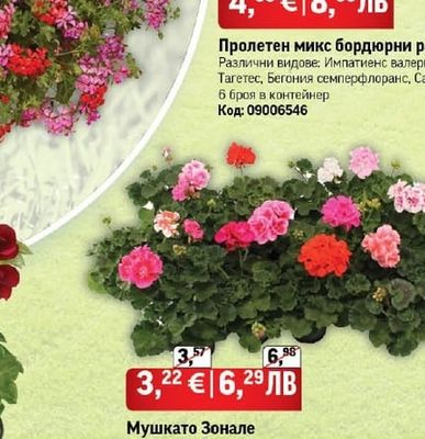 Пролетен микс бордюрни растения