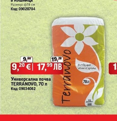 Сурфиния в кошница