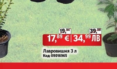 Лавровишня 3 л