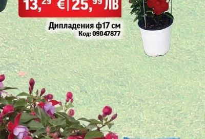 Дипладения