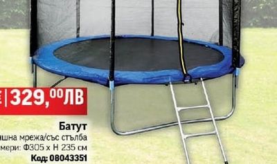 ПАПРАТ + ФАЛАРИС АКЦЕНТ БОРДО