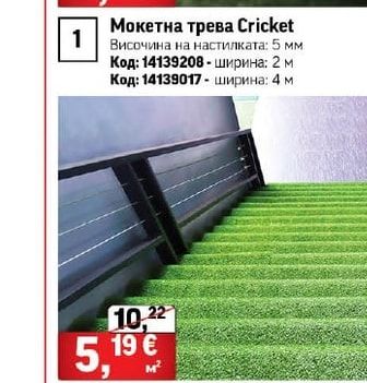 Мокетна трева Cricket