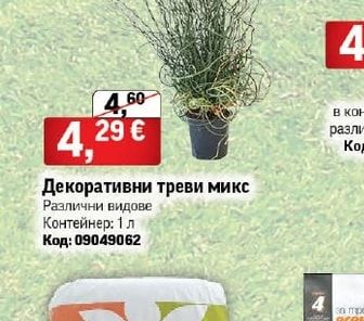 Декоративни треви микс