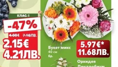 Боровинки
