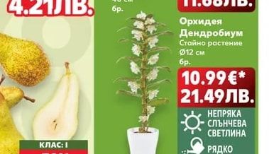 Букет микс