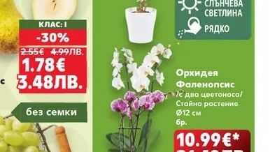 Круши Конференс
